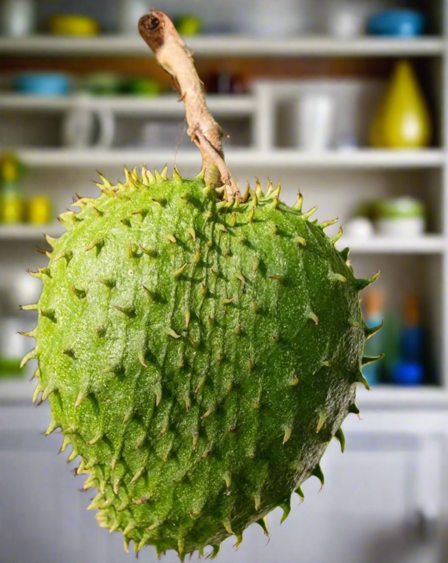 SOUR SOP